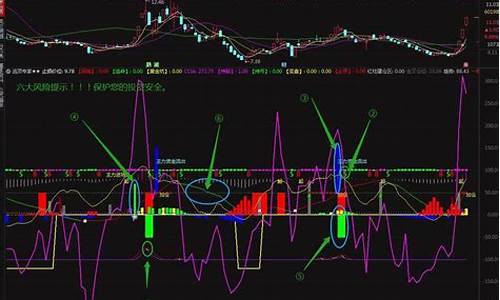 逃顶专家指标源码_逃顶指标源码2024最新版