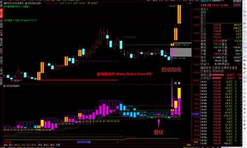 通达信密码出现的公式源码_通达信指标有密码