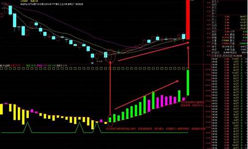 通达信资金源码_通达信资金源码大全