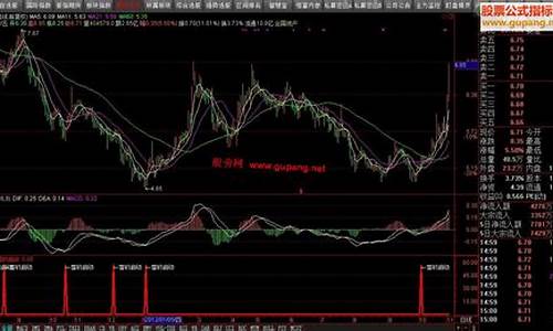 雪豹启动源码_雪豹启动源码是什么