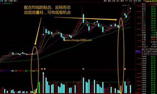 预测赢家的量能王指标源码_量能为王指标公式