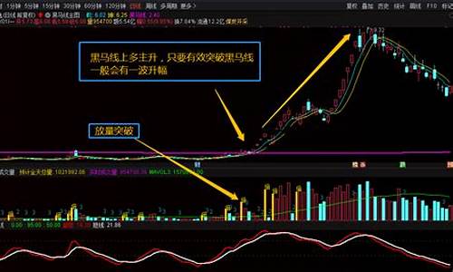 黑马的主图指标源码是什么_黑马主图指标公式